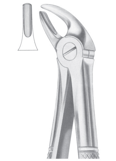 Extracting Forceps