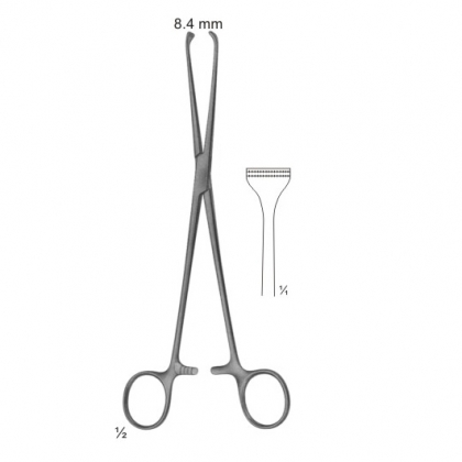 AbdoHT-nal Surgery Intestinal and Rectal Instruments