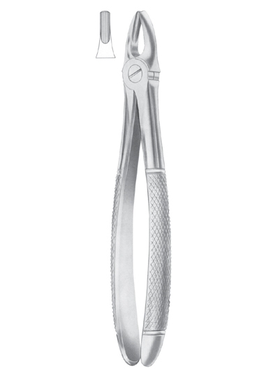 Extracting Forceps