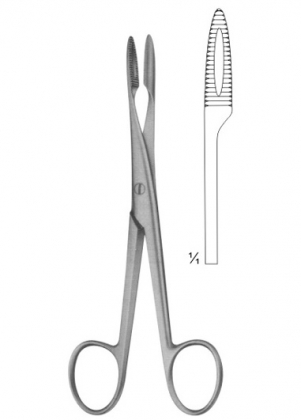 Endodontic Forscepes, Tissue Forcepes, Haemostatic Forcepes, Towel Clamps