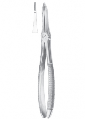 Extracting Forceps