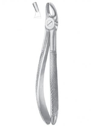 Extracting Forceps